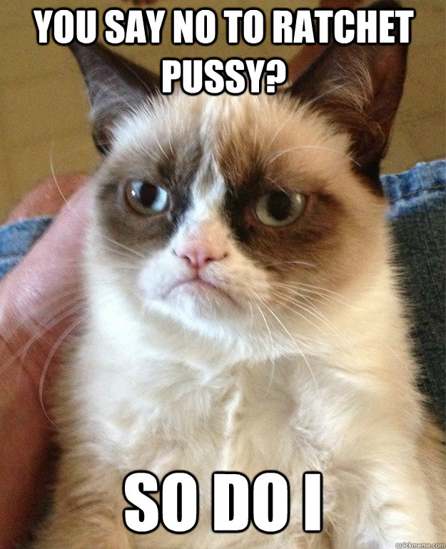 You say no to ratchet pussy? So do i - You say no to ratchet pussy? So do i  Grumpy Cat