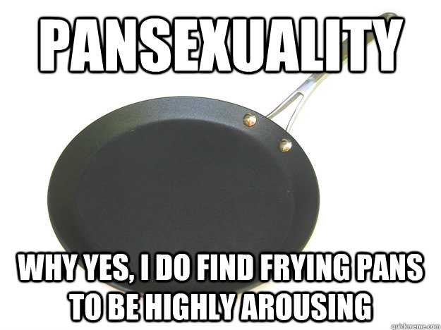 Pansexuality Why yes, I do find frying pans to be highly arousing  
