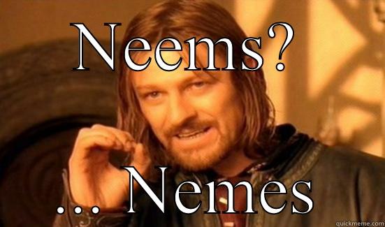 NEEMS? ... NEMES Boromir