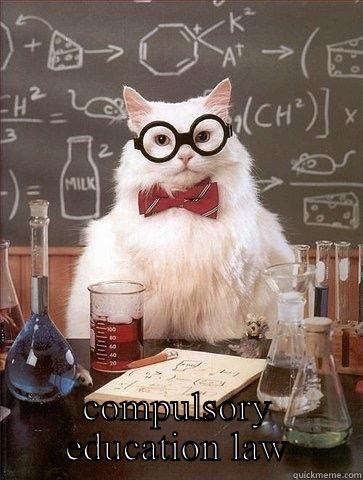  COMPULSORY EDUCATION LAW Chemistry Cat