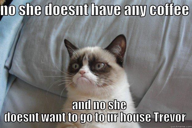 NO SHE DOESNT HAVE ANY COFFEE      AND NO SHE DOESNT WANT TO GO TO UR HOUSE TREVOR Grumpy Cat