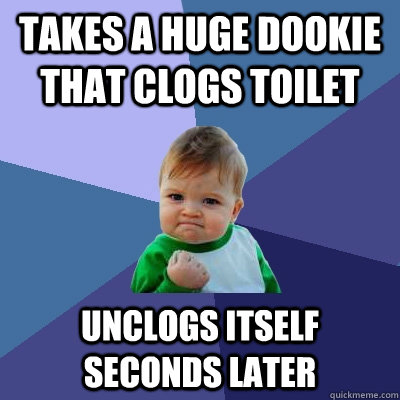 Takes a huge dookie that clogs toilet unclogs itself seconds later - Takes a huge dookie that clogs toilet unclogs itself seconds later  Success Kid