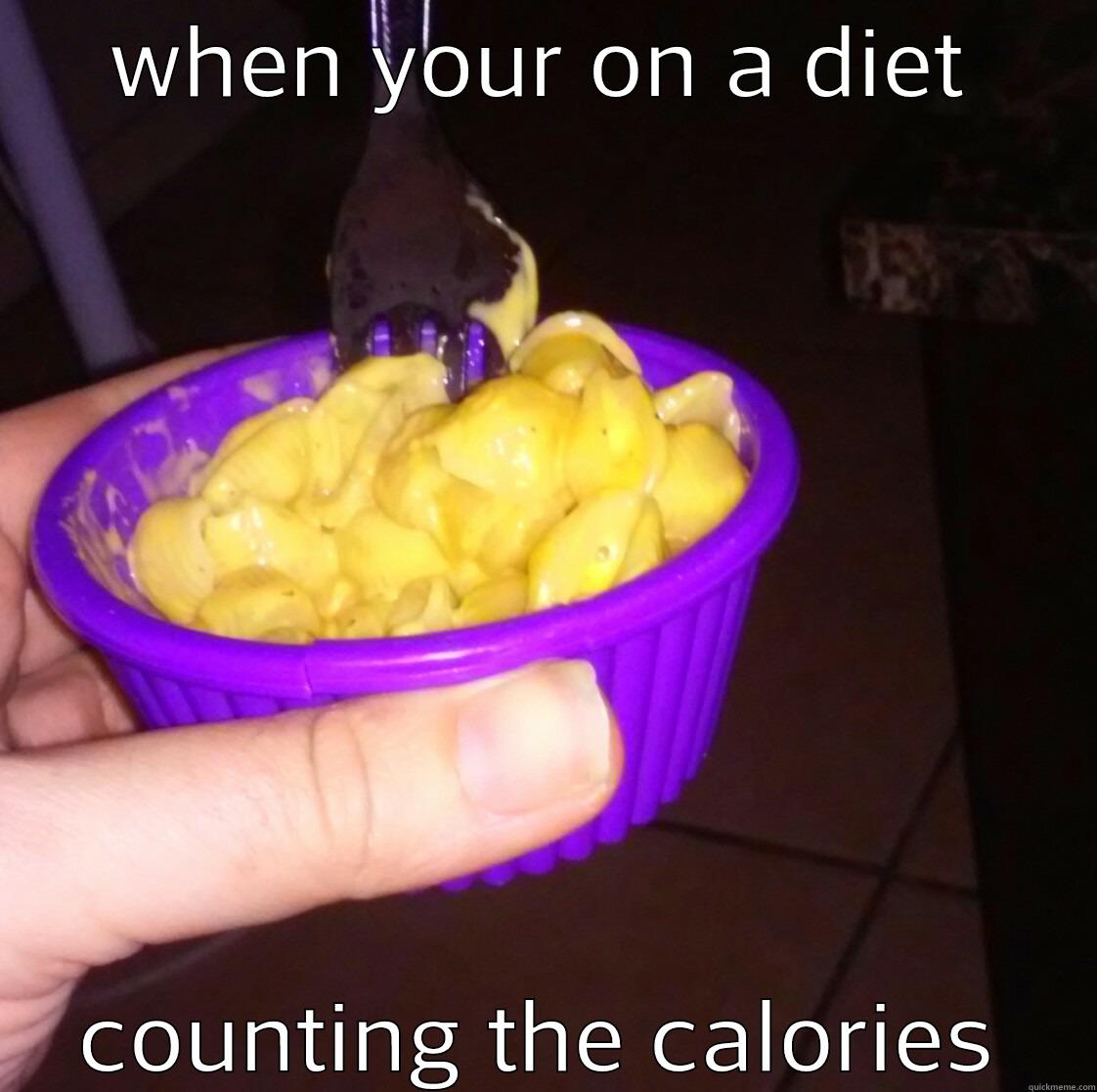 calorie counting - WHEN YOUR ON A DIET COUNTING THE CALORIES Misc