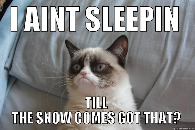 i aint goin to sleep - I AINT SLEEPIN TILL THE SNOW COMES GOT THAT? Grumpy Cat