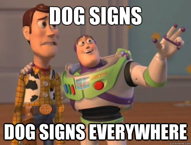 Dog signs  Dog signs everywhere  Buzz Lightyear