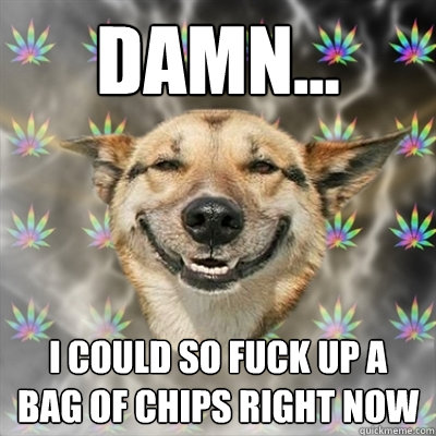 Damn... I could so fuck up a bag of chips right now  Stoner Dog