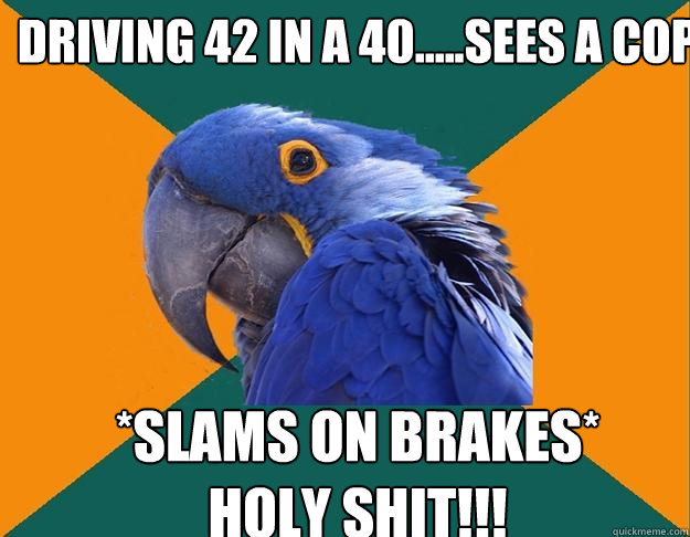 Driving 42 in a 40.....Sees a Cop *Slams on brakes*
Holy shit!!!  Paranoid Parrot