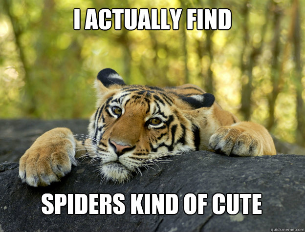 I actually find spiders kind of cute  Confession Tiger