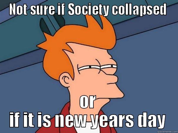 NOT SURE IF SOCIETY COLLAPSED OR IF IT IS NEW YEARS DAY Futurama Fry