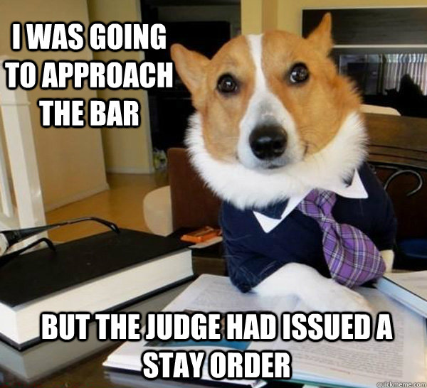 i WAS GOING TO APPROACH THE BAR BUT THE JUDGE HAD ISSUED A STAY ORDER - i WAS GOING TO APPROACH THE BAR BUT THE JUDGE HAD ISSUED A STAY ORDER  Lawyer Dog