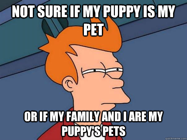 Not sure if my puppy is my pet Or if my family and I are my puppy's pets - Not sure if my puppy is my pet Or if my family and I are my puppy's pets  Futurama Fry