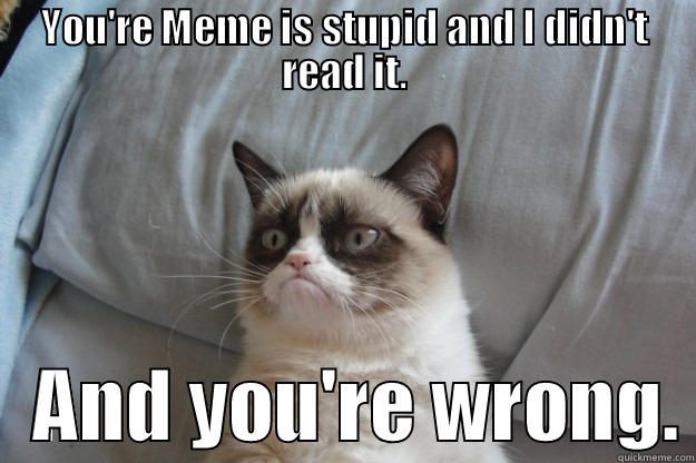 YOU'RE MEME IS STUPID AND I DIDN'T READ IT.    AND YOU'RE WRONG. Grumpy Cat