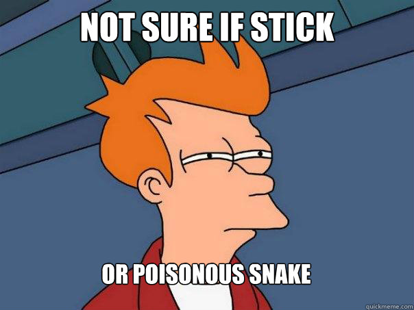 Not sure if stick Or poisonous snake  Futurama Fry