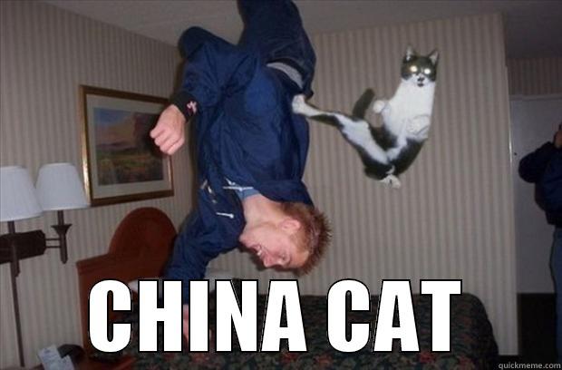  CHINA CAT Misc