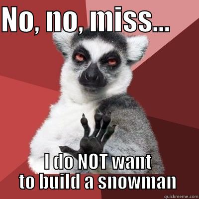 NO, NO, MISS...      I DO NOT WANT TO BUILD A SNOWMAN Misc