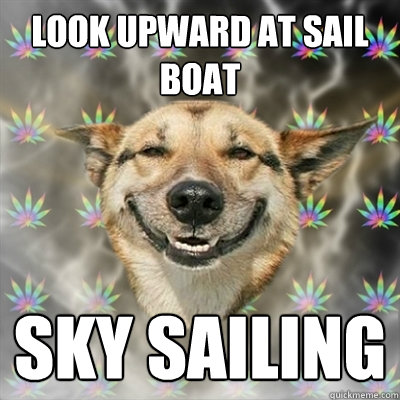 look upward at sail boat sky sailing  Stoner Dog