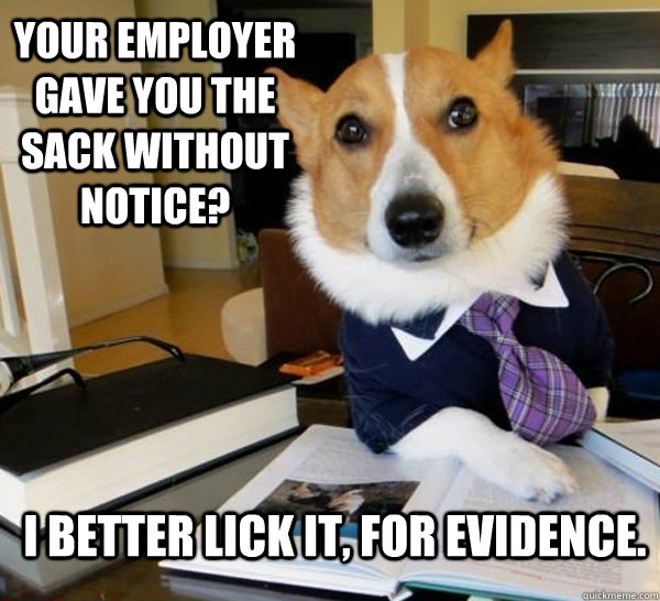 Your employer gave you the sack without notice? I better lick it, for evidence.  Lawyer Dog