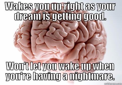 WAKES YOU UP RIGHT AS YOUR DREAM IS GETTING GOOD. WON'T LET YOU WAKE UP WHEN YOU'RE HAVING A NIGHTMARE. Scumbag Brain