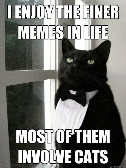 sophisticated cat meme