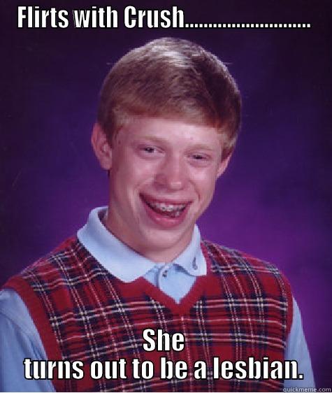 FLIRTS WITH CRUSH........................... SHE TURNS OUT TO BE A LESBIAN. Bad Luck Brian