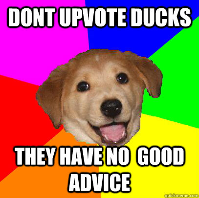 Dont Upvote ducks They have no  good advice  Advice Dog