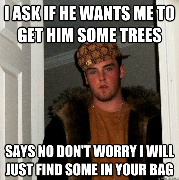 I ask if he wants me to get him some trees Says no don't worry i will just find some in your bag  Scumbag Steve