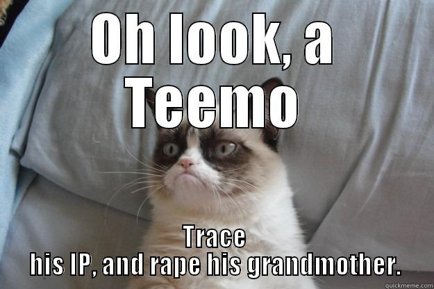 OH LOOK, A TEEMO TRACE HIS IP, AND RAPE HIS GRANDMOTHER. Grumpy Cat