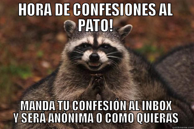 HORA DE CONFESIONES AL PATO! MANDA TU CONFESIÓN AL INBOX Y SERÁ ANÓNIMA O COMO QUIERAS Evil Plotting Raccoon