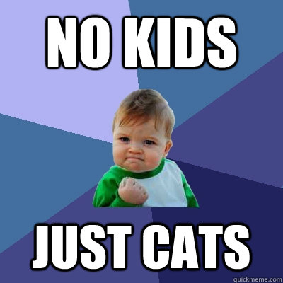 NO KIDS Just cats  Success Kid