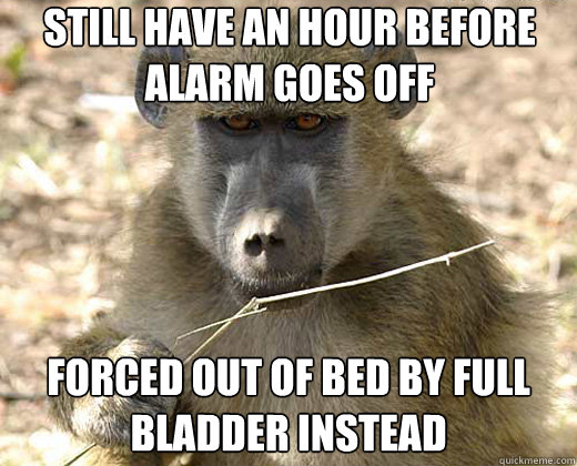 still have an hour before alarm goes off forced out of bed by full bladder instead  Bad Morning Baboon