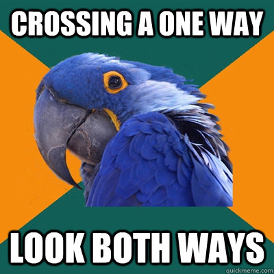 Crossing a one way look both ways  Paranoid Parrot