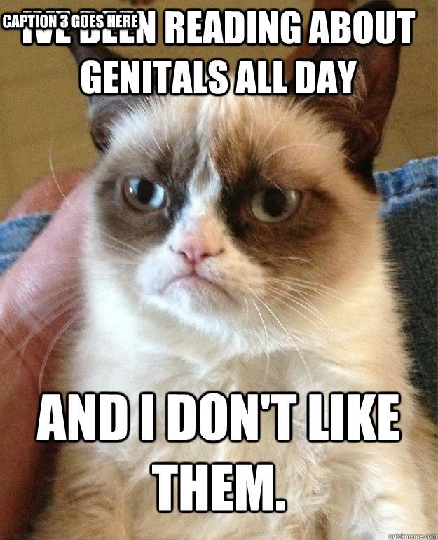 Ive been reading about genitals all day and i don't like them. Caption 3 goes here  Grumpy Cat