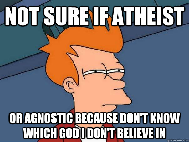 Not sure if Atheist Or Agnostic because don't know which god i don't believe in  Futurama Fry