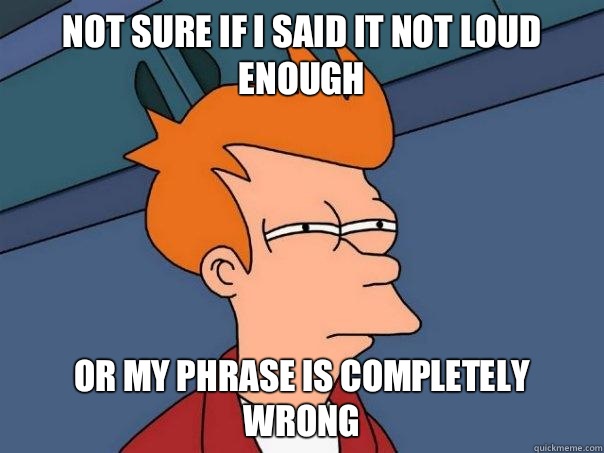 Not sure if I said it not loud enough or my phrase is completely wrong  Futurama Fry