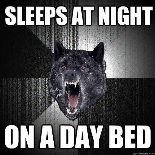 sleeps at night on a day bed  Insanity Wolf