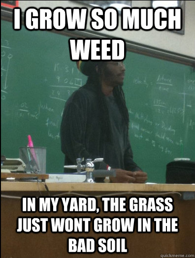 i grow so much weed in my yard, the grass just wont grow in the bad soil  Rasta Science Teacher