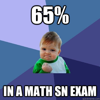 65% in a math sn exam  Success Kid