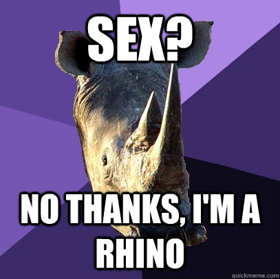 Sex? No thanks, I'm a rhino - Sex? No thanks, I'm a rhino  Sexually Oblivious Rhino