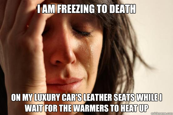 i am freezing to death on my luxury car's leather seats while i wait for the warmers to heat up - i am freezing to death on my luxury car's leather seats while i wait for the warmers to heat up  First World Problems