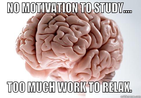 NO MOTIVATION TO STUDY.... TOO MUCH WORK TO RELAX. Scumbag Brain