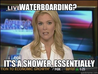 Waterboarding? It's a shower, essentially - Waterboarding? It's a shower, essentially  Megyn Kelly