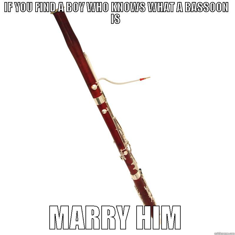 marry bassoon boy - IF YOU FIND A BOY WHO KNOWS WHAT A BASSOON IS  MARRY HIM Misc