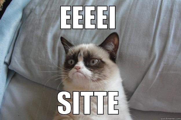 EEEEI SITTE Grumpy Cat