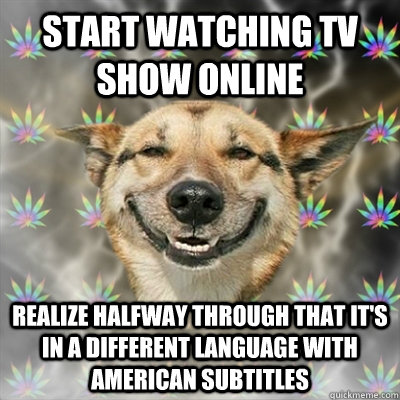 Start watching tv show online Realize halfway through that it's in a different language with american subtitles  Stoner Dog