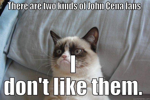 THERE ARE TWO KINDS OF JOHN CENA FANS I DON'T LIKE THEM. Grumpy Cat