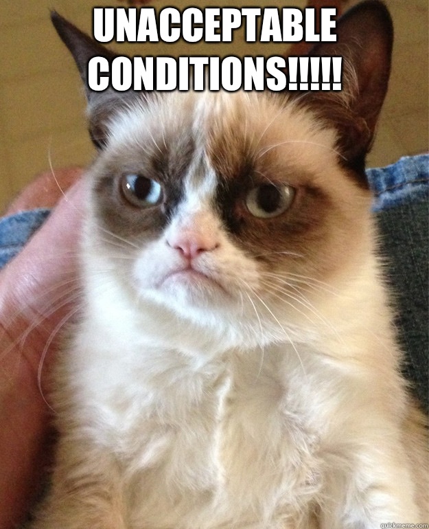 Unacceptable conditions!!!!!  - Unacceptable conditions!!!!!   Grumpy Cat