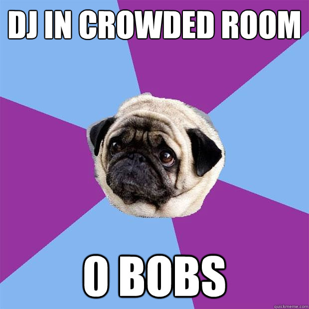 DJ in Crowded room 0 Bobs - DJ in Crowded room 0 Bobs  Lonely Pug