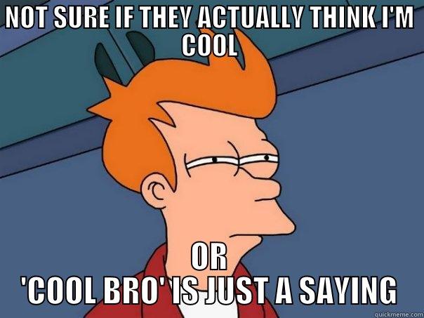 NOT SURE IF THEY ACTUALLY THINK I'M COOL OR 'COOL BRO' IS JUST A SAYING Futurama Fry