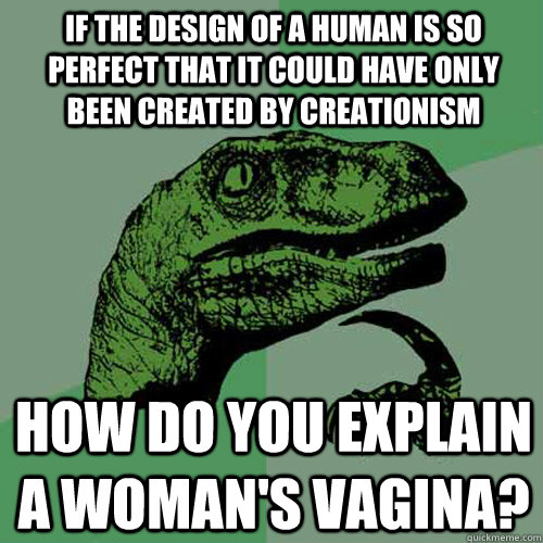 If the design of a human is so perfect that it could have only been created by creationism How do you explain a woman's vagina?  Philosoraptor