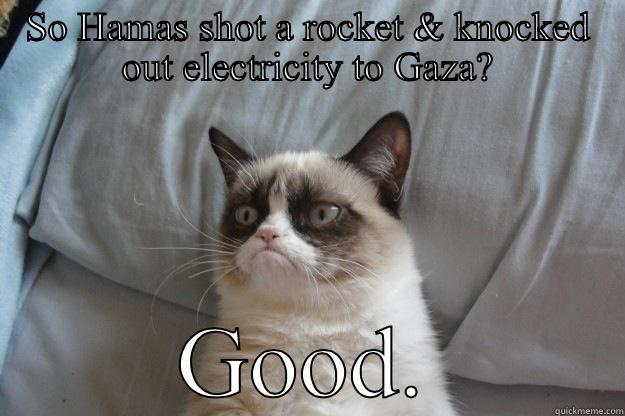 SO HAMAS SHOT A ROCKET & KNOCKED OUT ELECTRICITY TO GAZA? GOOD. Grumpy Cat